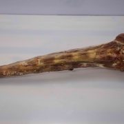 Rabo_Bovino_Intermeat_2