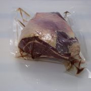 Maminha_Lateral_Goedegebuur